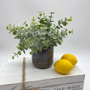 Small Fake Plant in Rustic Ceramic Pot, Artificial Plants Spring Coffee Table Decor, Farmhouse Greenery for Shelf, Eucalyptus Blue Vase
