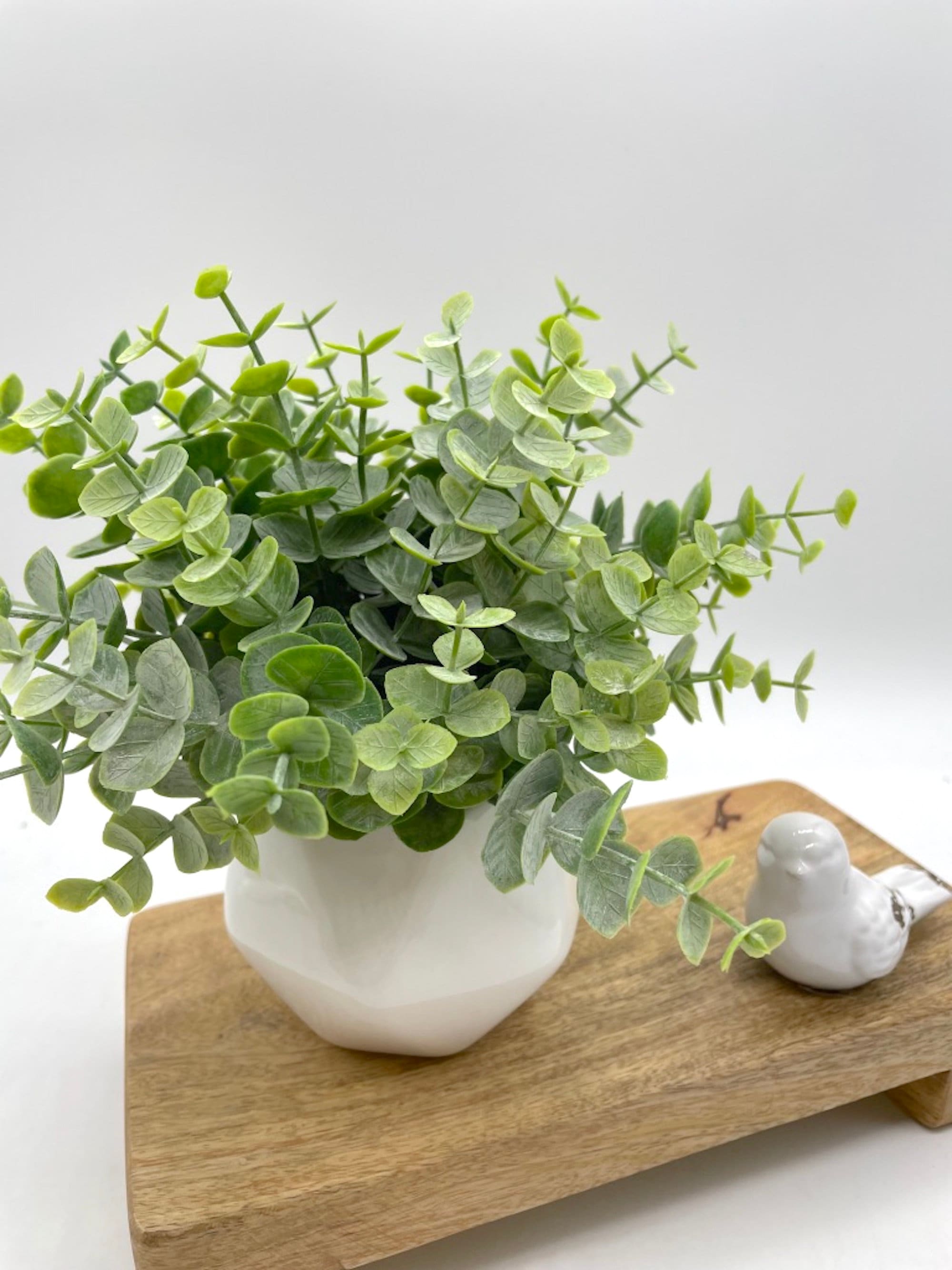 Artificial Eucalyptus in Small Ceramic Vase Fake Plants Home Etsy