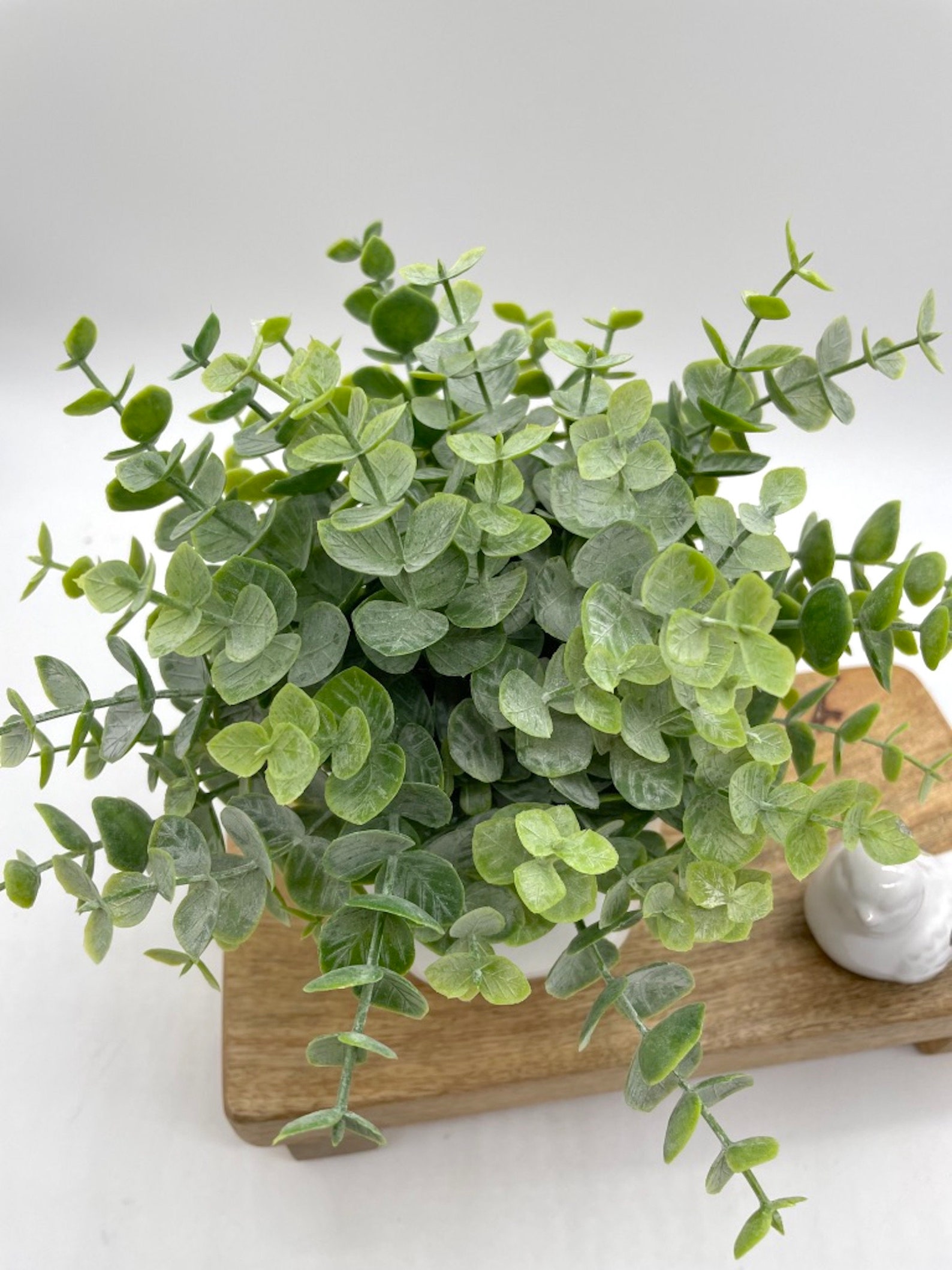 Artificial Eucalyptus in Small Ceramic Vase, Fake Plants Home Decor, Greenery Bathroom Counter