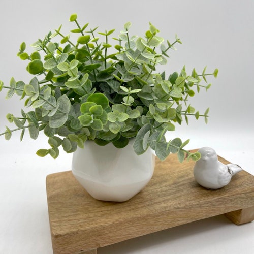 Coferset 2 stuks zwarte nep-eucalyptus kleine nepplanten in pot kunstplanten voor Halloween plank bureau thuis boerderij kamer salontafel decor badkamer decor (zwart