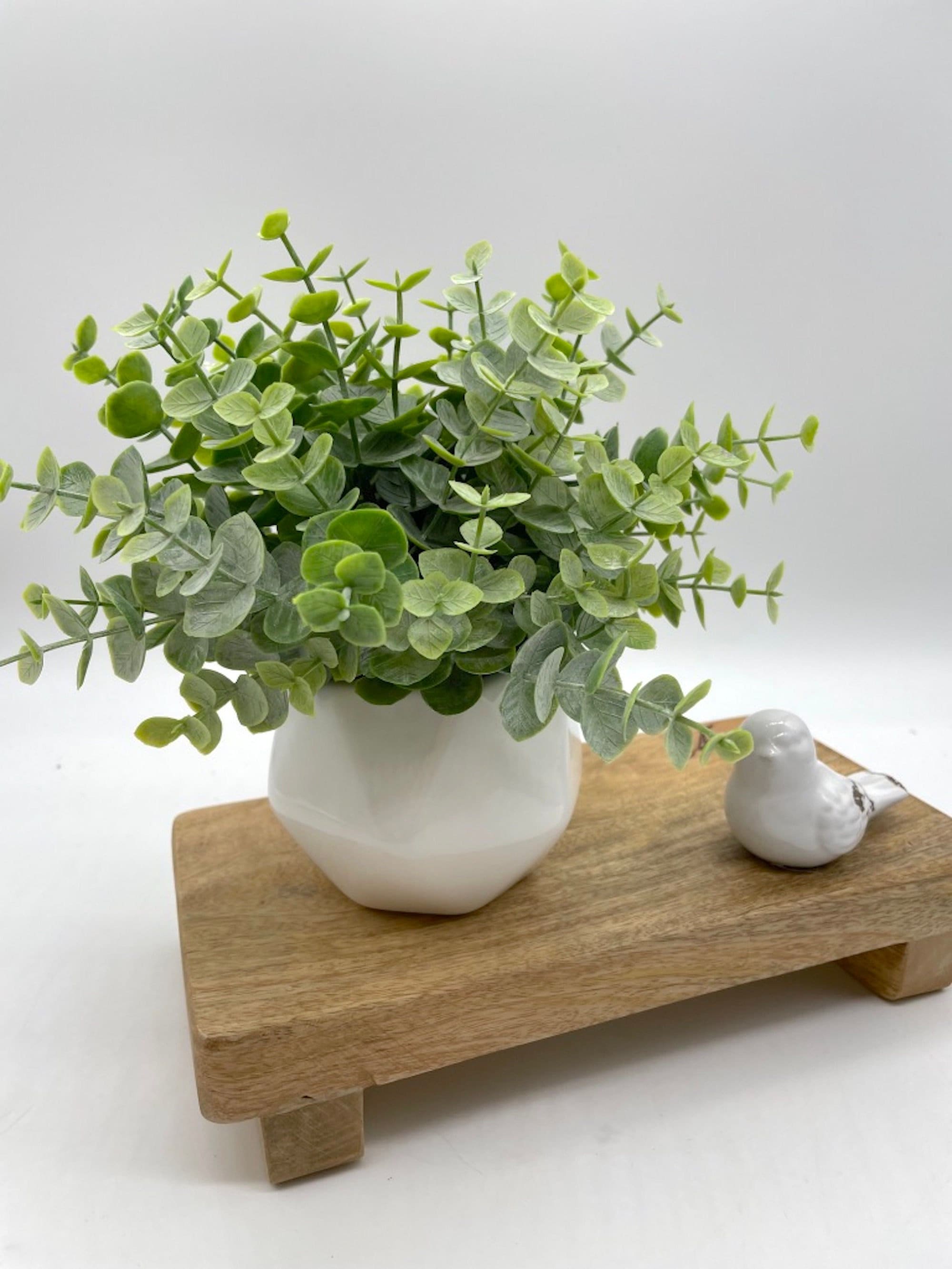 Primitive Fake Plant in White Mason Jar, Artificial Greenery in