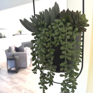 Faux Succulent Hanging Planter with Chain, Artificial Succulents in Black Metal Pot, Realistic Hanging Plant Decor, Modern Farmhouse Decor