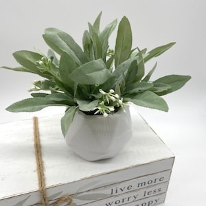 May include: A small, light green plant with white flowers in a white geometric pot. The pot sits atop a stack of white decorative books tied with twine. The books have the words "live more worry less and be happy" printed on them.
