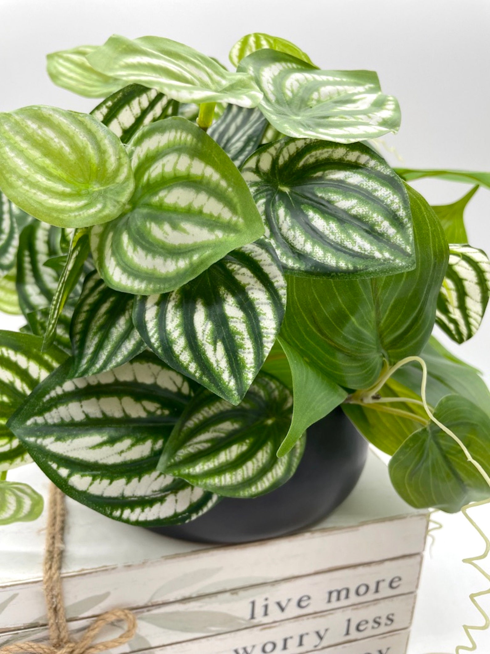 Fake Plants in Black Ceramic Vase Artificial Plant Coffee Etsy