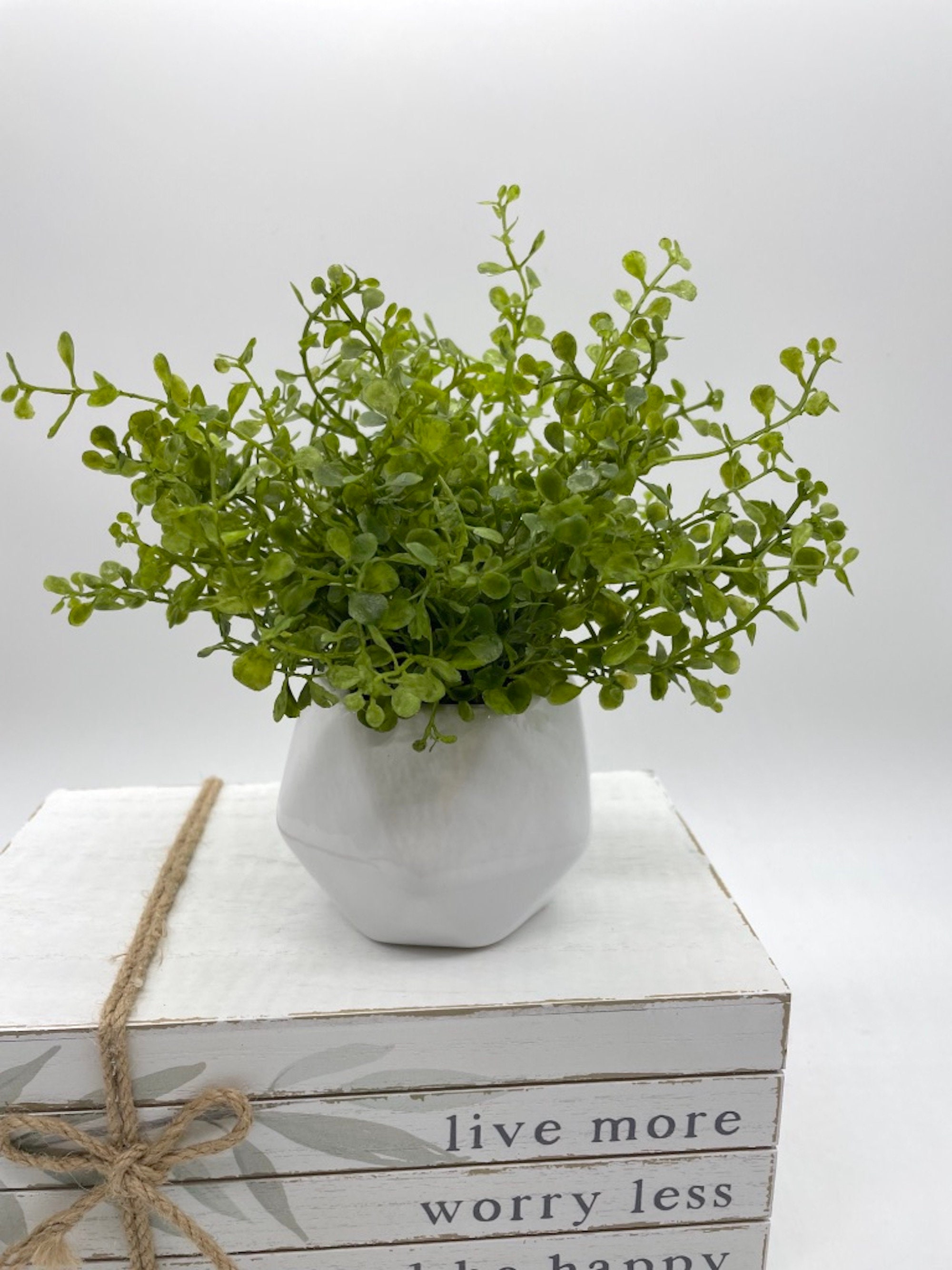 Small Fake Plant in White Ceramic Pot Artificial Plant Coffee Etsy