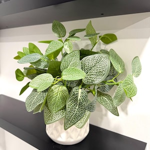 Puede incluir: Una planta artificial decorativa con hojas verdes y veteado blanco, presentada en una maceta de cerámica blanca texturizada. La planta se coloca en una estantería negra contra una pared blanca, creando una estética moderna. Las hojas tienen un patrón detallado.