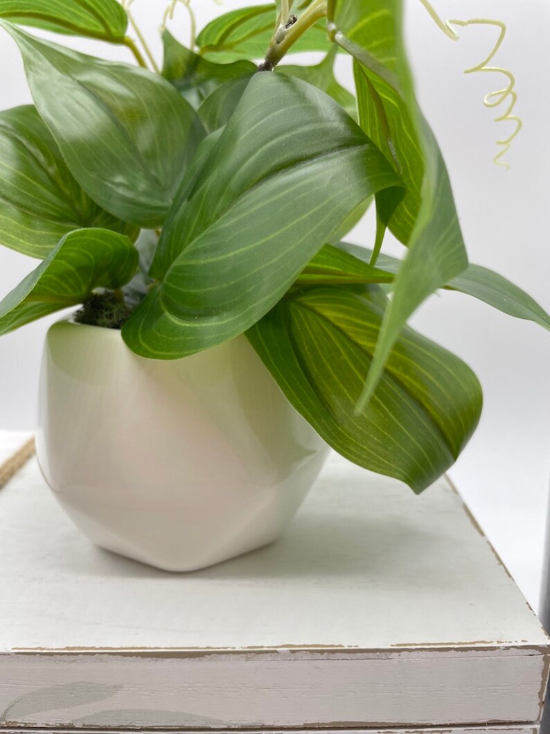 Small Fake Plant in Ceramic Pot Artificial Big Leaf Plant for Etsy