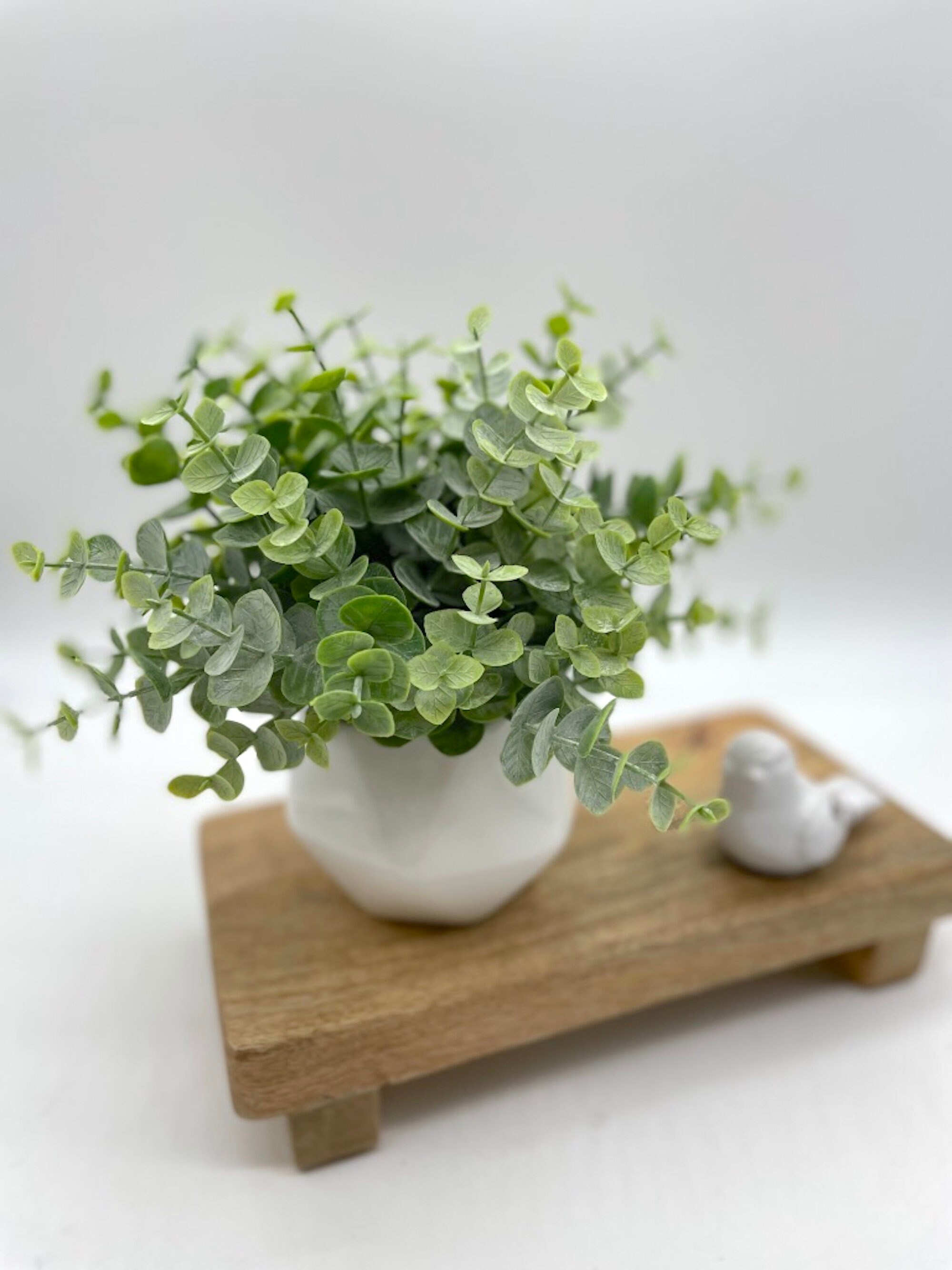 Artificial Eucalyptus in Small Ceramic Vase Fake Plants Home Etsy