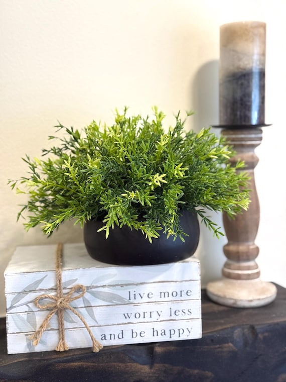 ficus plant light requirements Braided Ficus Benjamina Tree Form Multi Stem, Weeping Fig