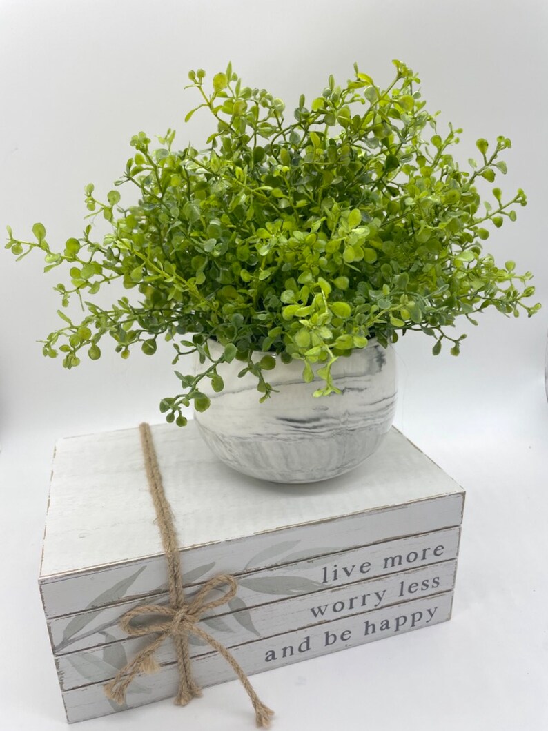 Fake Plants in Ceramic Pot Artificial Desk Plant Modern Etsy