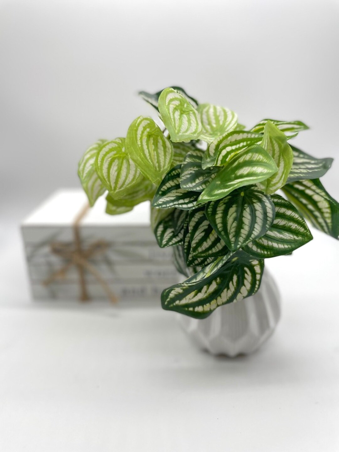 Fake Plants in White Geometric Vase Coffee Table Plant Decor Etsy