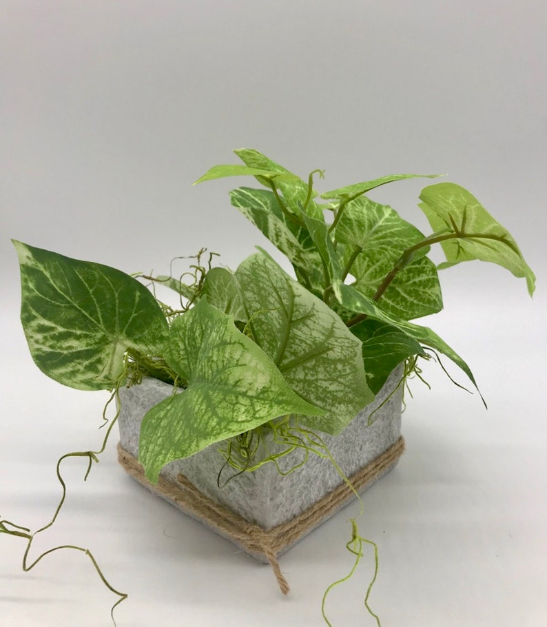 Kleine Fake Pflanze in quadratischer Zementkanne Moderne | Etsy