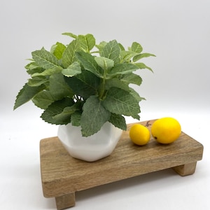 May include: A decorative arrangement featuring a small, white geometric planter filled with green leafy plants. Two yellow lemons rest on a small, rectangular wooden tray. The tray has a natural wood grain finish.