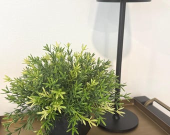 Pequeña planta artificial en maceta de cerámica geométrica negra, planta moderna para decorar escritorios, estantes o baños.