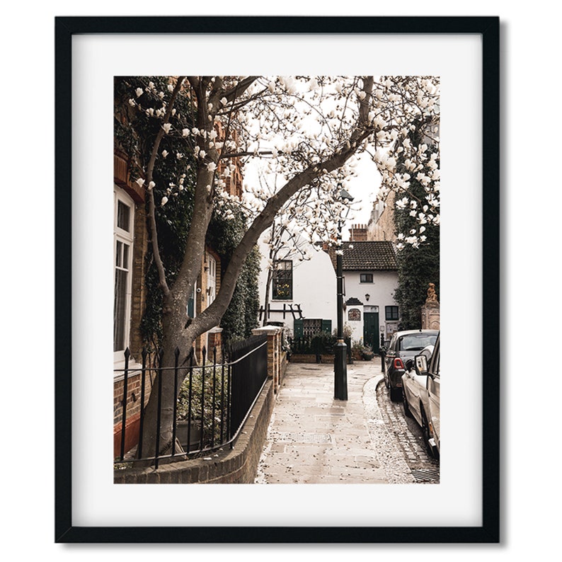 Blooming Magnolia in Chelsea London Wall Art Print London image 3