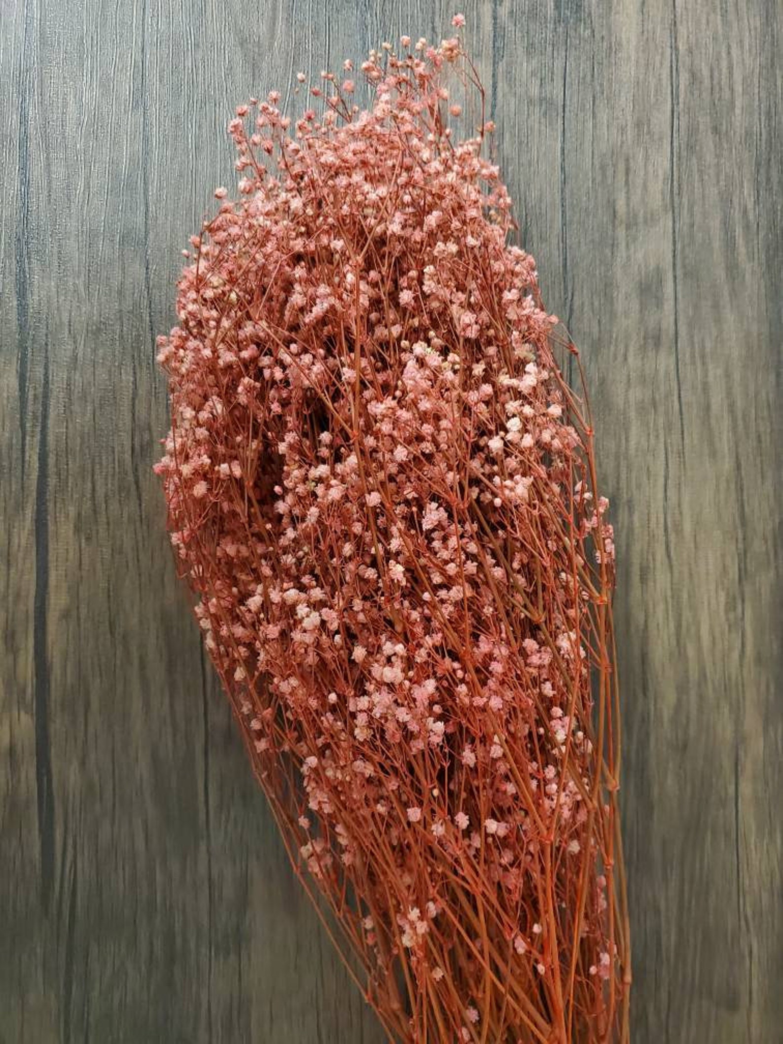 Baby's Breath Bunches in Baby Pink. Large. Preserved Dried Etsy