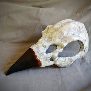Crow Skull Mask / Wearable Crow Skull / Death mask / Wearable Mask