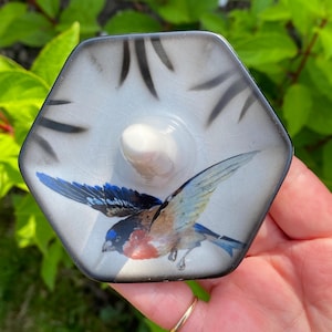 Könnte beinhalten: Sechseckiger Flaschenverschluss mit einer Vogelillustration. Der Verschluss hat einen weißen Keramikknopf und ein detailliertes Bild eines Vogels mit blauen, braunen und orangefarbenen Federn. Die Ränder sind schwarz mit weißem Hintergrund.