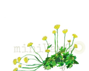 Buttercups on beautiful quality Giclee prints, original is a digital drawing