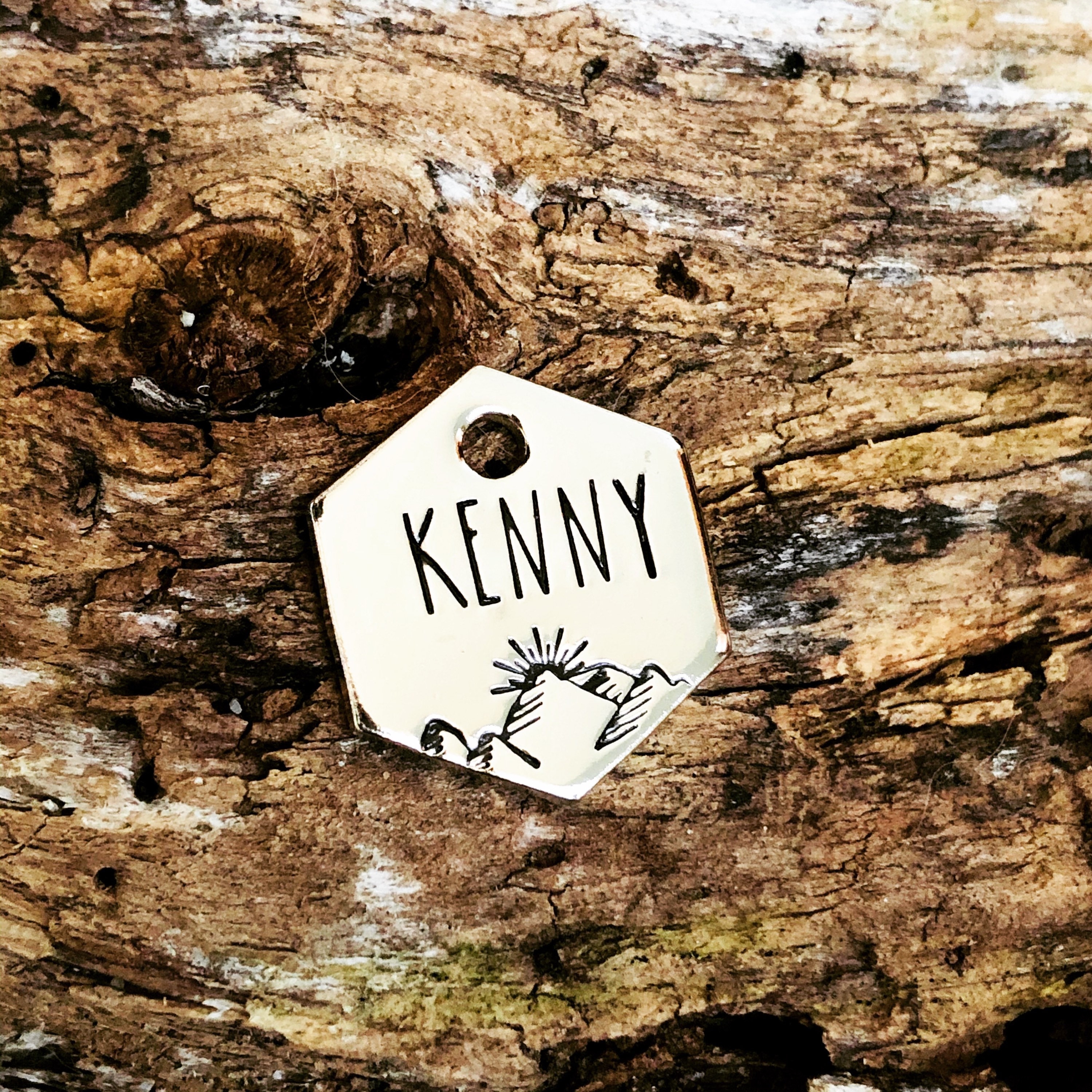 Hand Stamped Pet ID Tag Cat Tag Salty Dog Shop Small Dog Tag Heart Bumble Bee .75 Micro Tag