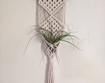 Macrame Air Plant Hanger