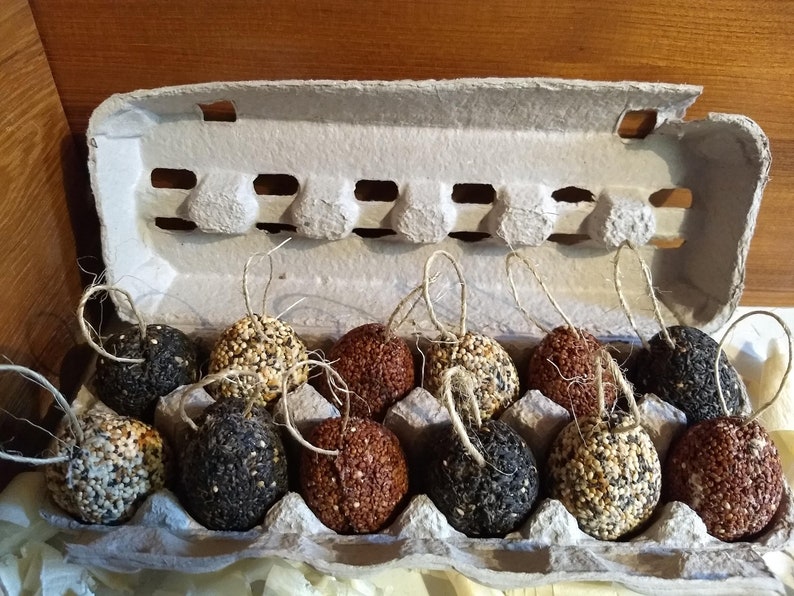 Handmade Birdseed Egg Ornaments Bird Treats Feed the Birds Etsy Canada