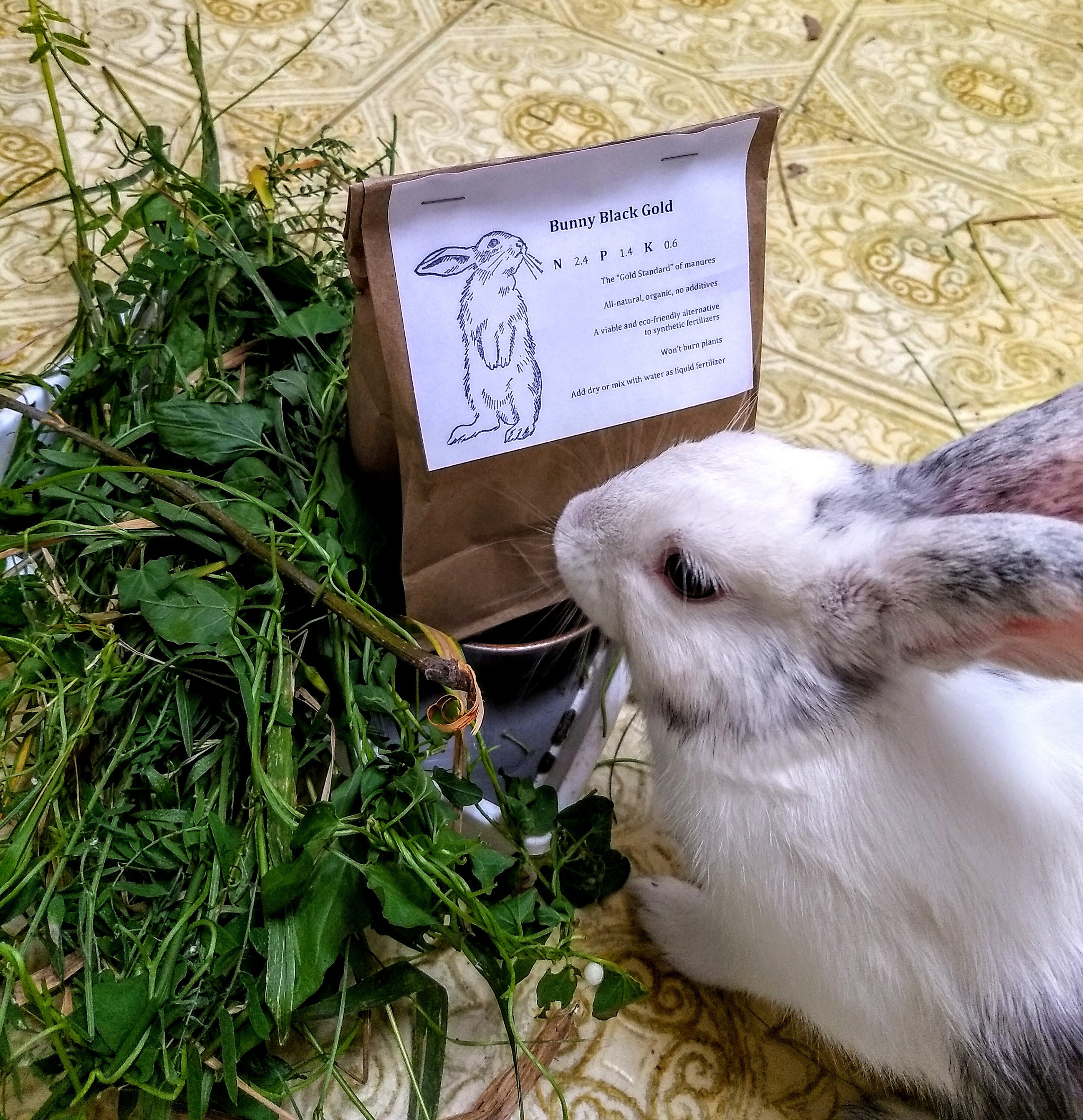 Bunny Black Gold Organic Rabbit Manure Manure Tea Etsy Canada