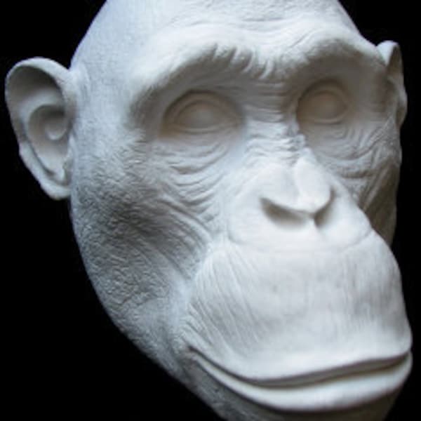 Greystoke Baby Schimpanse Ape Life Mask Skulptur Büste