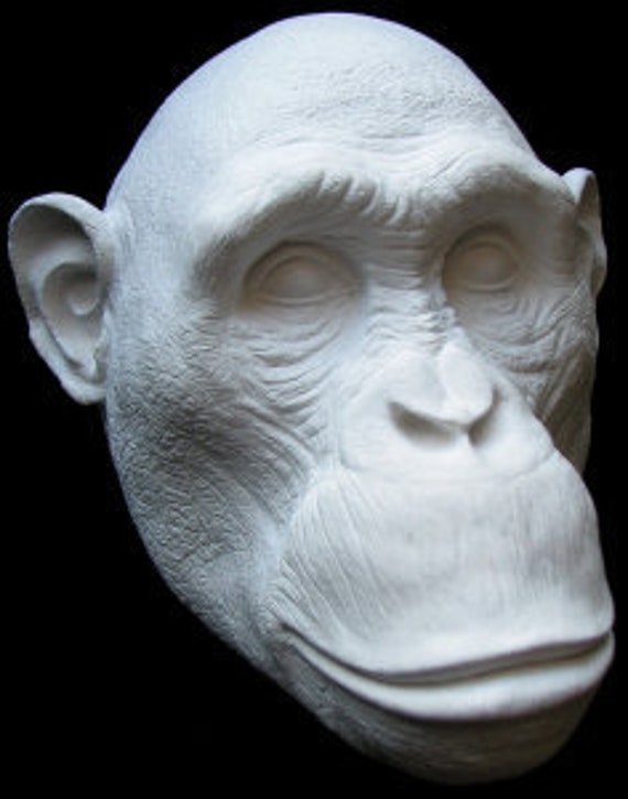 Greystoke Baby Chimpanzee Ape Life Mask Sculpture Bust - Etsy Hong