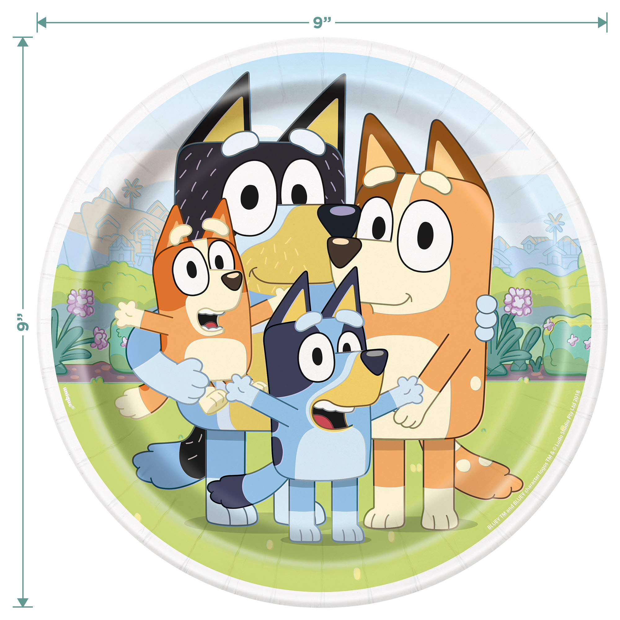 Bluey Plates & Napkins Set