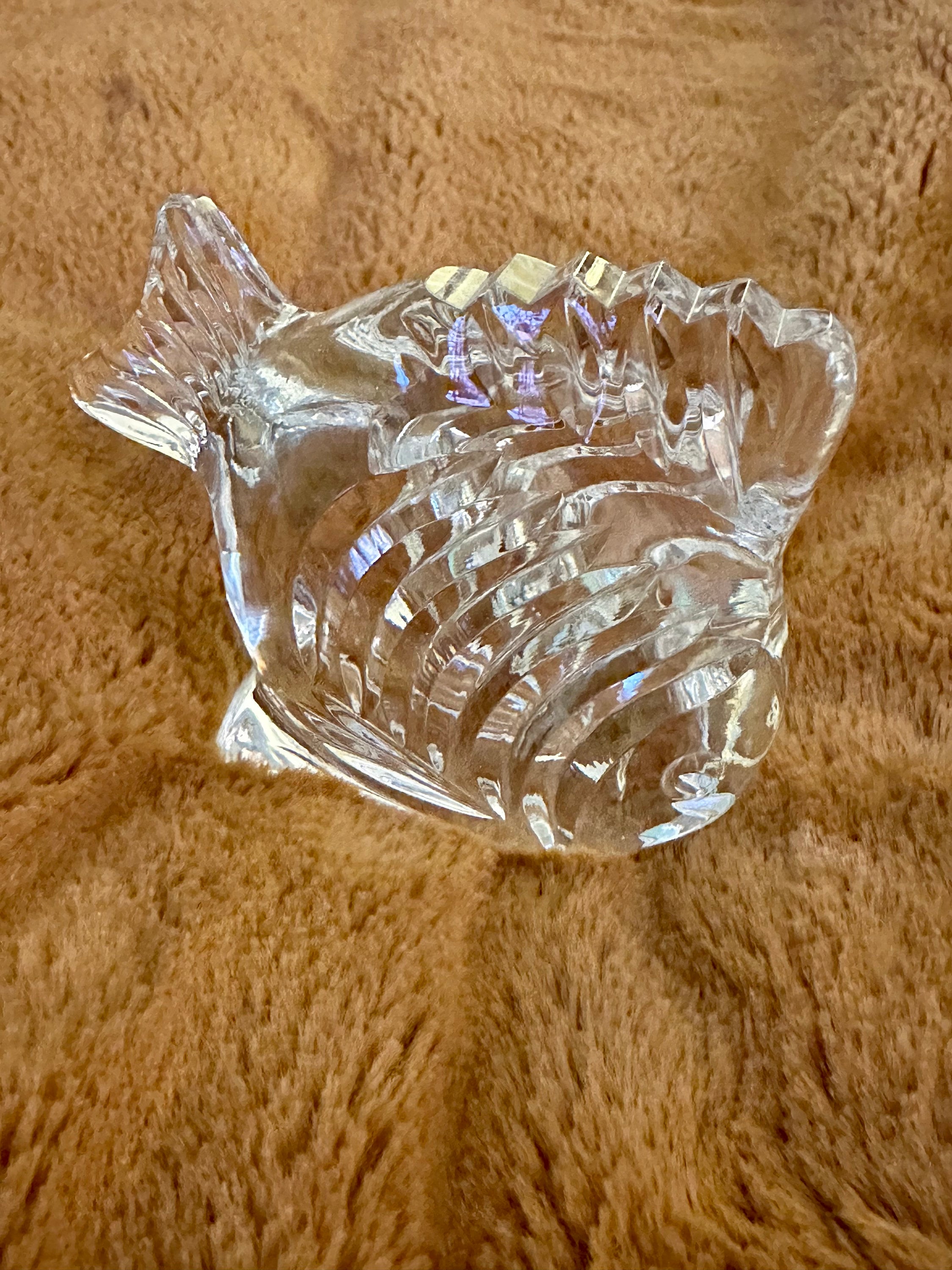 Waterford Angel Fish - Etsy
