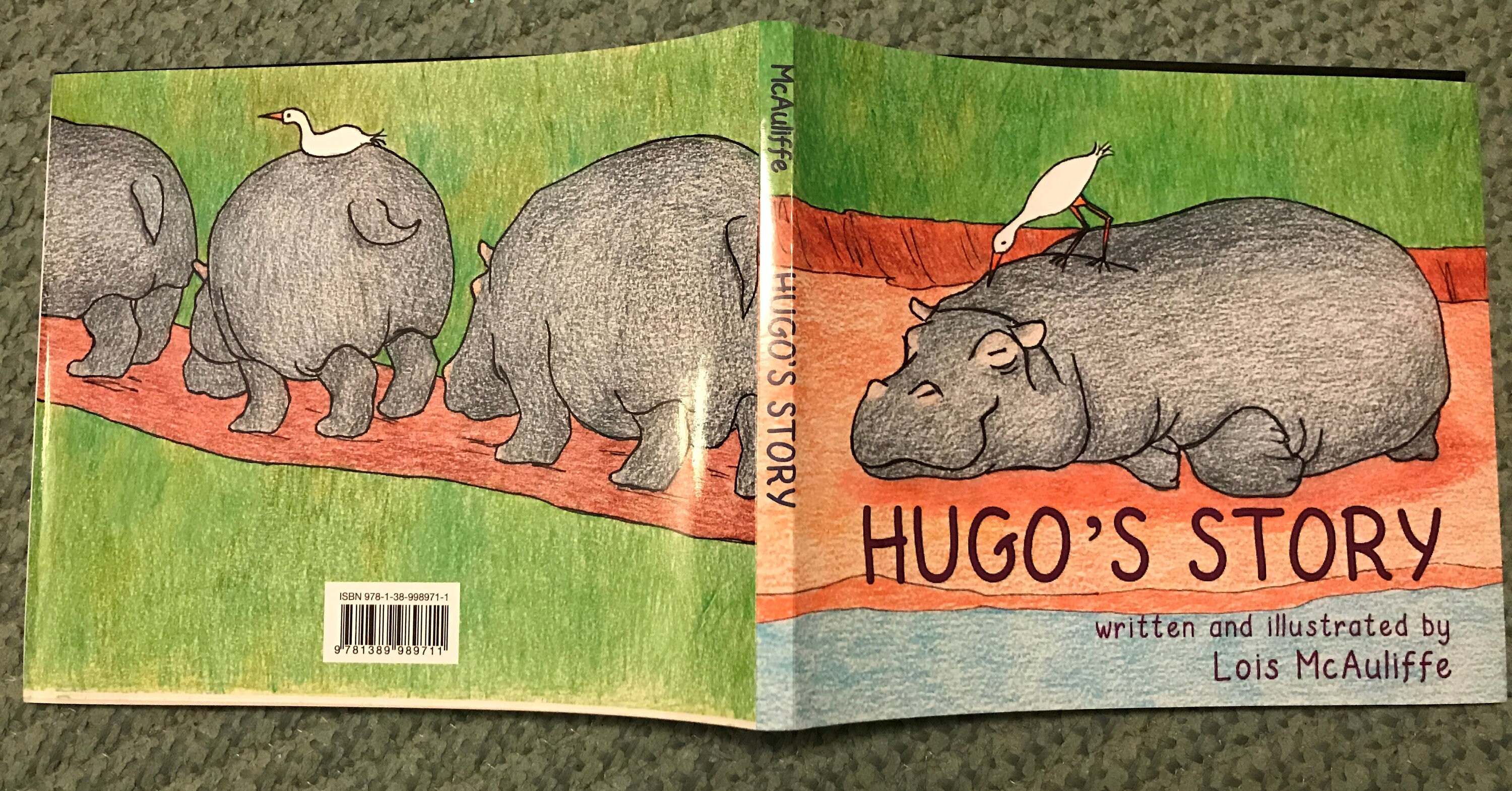 Hugo's Story a Children's Picture Book About a Etsy Ireland