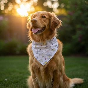 Personalized Winnie the Pooh Dog Bandana, Over the Collar