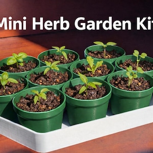 May include: A mini herb garden kit with nine small green pots filled with soil and young herb plants. The pots are arranged in a white tray. The text "Mini Herb Garden Kit" is displayed in white letters.
