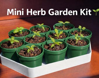Mini Herb Garden Starter Kit | 3D Printed Seed Starter Tray w/ Pots + Seeds | Indoor Windowsill Garden | Beginner Friendly Gift