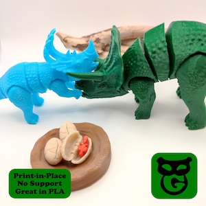 Triceratops + Sinoceratops (3D Blueprint)