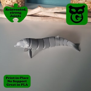 Cuvier&#39;s Beaked Whale (3D Blueprint)