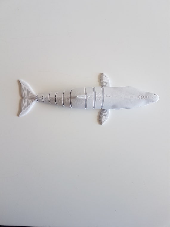 マッコウクジラ（3Dブループリント） - Etsy 日本