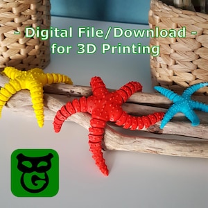 Starfish (3D Blueprint)