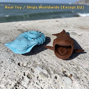 May include: A light blue articulated hammerhead shark toy with a segmented body and a brown hammerhead shark toy with an open mouth showing teeth and a tongue. The text Real Toy / Ships Worldwide (Except EU) is visible at the top of the image.