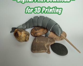 Narval (3D-ritning)
