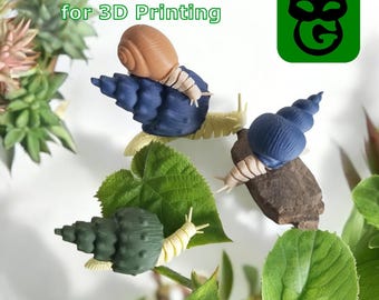 Caracol (Projeto 3D)