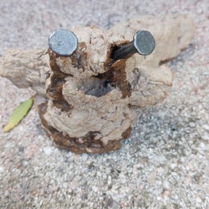 May include: A whimsical, handmade sculpture crafted from natural materials. The artwork features a textured, light brown base with two metal nails serving as eyes. The sculpture is placed on a textured, light gray surface.