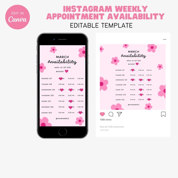 Makeup Appointment Template Etsy