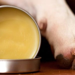 Paw Protector Balm 100% Natural for Dogs and Cats with Vitamin E and Aloe Protects Cracked and Dry Paws and Noses 2 Ounces