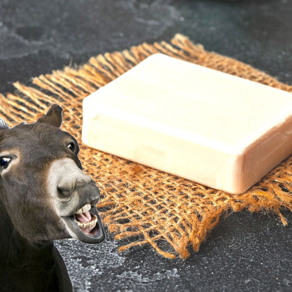 Donkey Milk Soap Organic Large 6.5 oz Bar Moisturizing For All Skin Types Choice of Scents