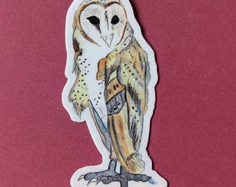 Laminated Barn Owl Vinyl Sticker: Wildlife Art