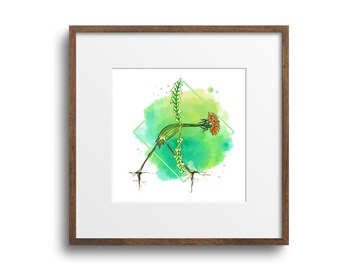 Dandelion Triangle Pose Print: Botanical Yoga Studio Art