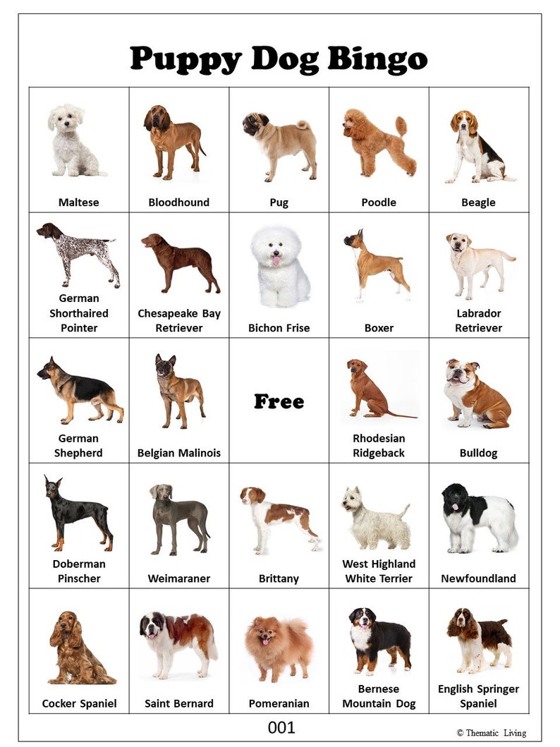 30-puppy-dog-bingo-cards-dog-birthday-party-game-dog-breeds-etsy