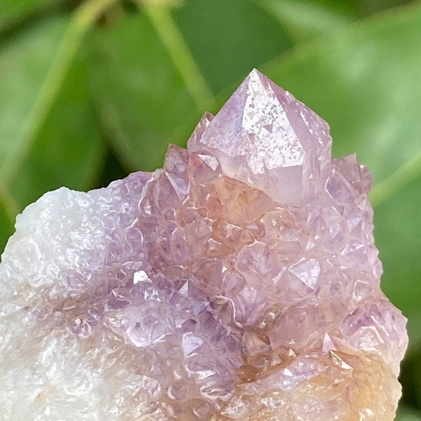 Ametrine Spirit Quartz - Cactus Quartz Amethyst + Citrine Crystal From South Africa Natural Genuine Spirit Quartz • 44 Grams Freestanding
